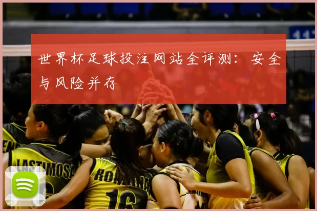 世界杯足球投注网站全评测:安全与风险并存