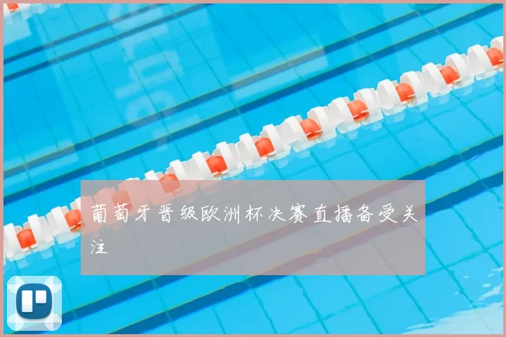 葡萄牙晋级欧洲杯决赛直播备受关注