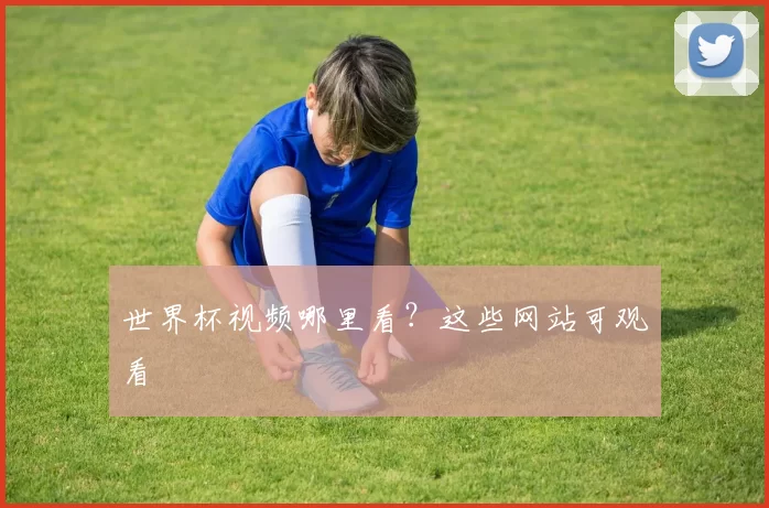 世界杯视频哪里看?这些网站可观看