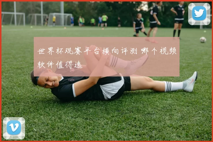 世界杯观赛平台横向评测 哪个视频软件值得选