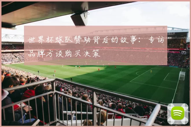 世界杯球队赞助背后的故事:专访品牌方谈购买决策