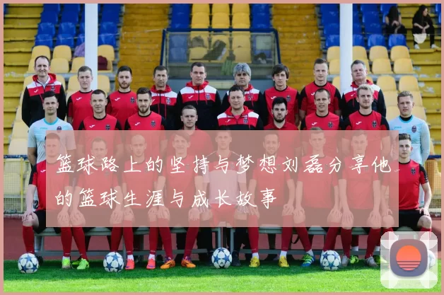 篮球路上的坚持与梦想刘磊分享他的篮球生涯与成长故事