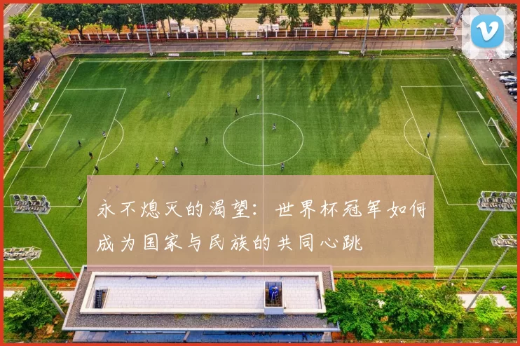 永不熄灭的渴望:世界杯冠军如何成为国家与民族的共同心跳