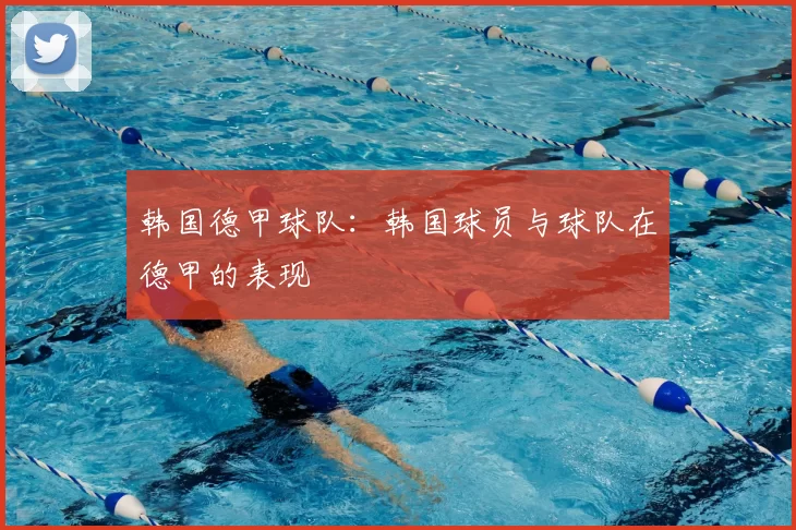 韩国德甲球队：韩国球员与球队在德甲的表现