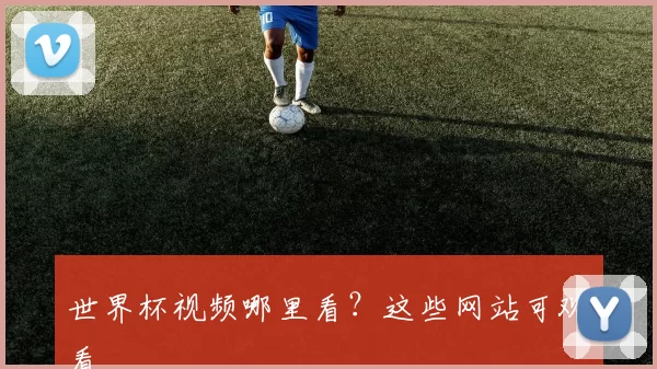 世界杯视频哪里看？这些网站可观看