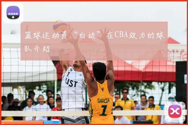篮球运动员“白边”在CBA效力的球队介绍