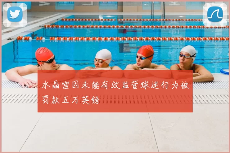 水晶宫因未能有效监管球迷行为被罚款五万英镑