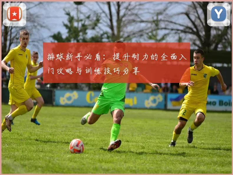 排球新手必看:提升耐力的全面入门攻略与训练技巧分享