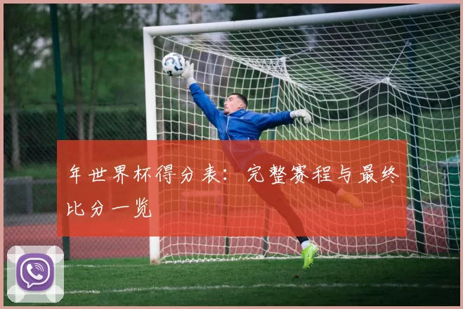 年世界杯得分表：完整赛程与最终比分一览