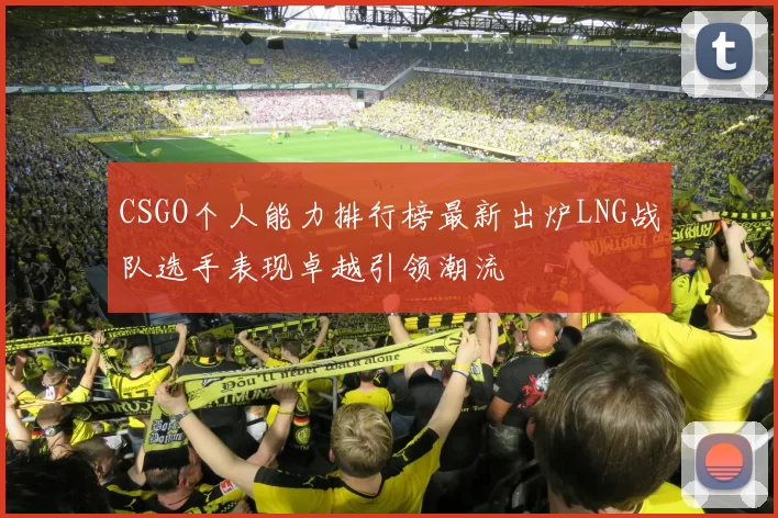 CSGO个人能力排行榜最新出炉LNG战队选手表现卓越引领潮流