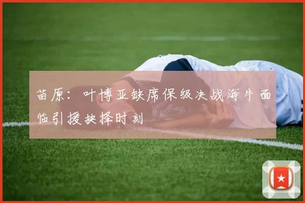 苗原:叶博亚缺席保级决战海牛面临引援抉择时刻