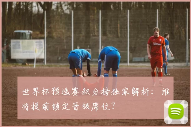 世界杯预选赛积分榜独家解析：谁将提前锁定晋级席位？
